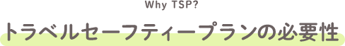 Why TSP? トラベルセーフティープランの必要性